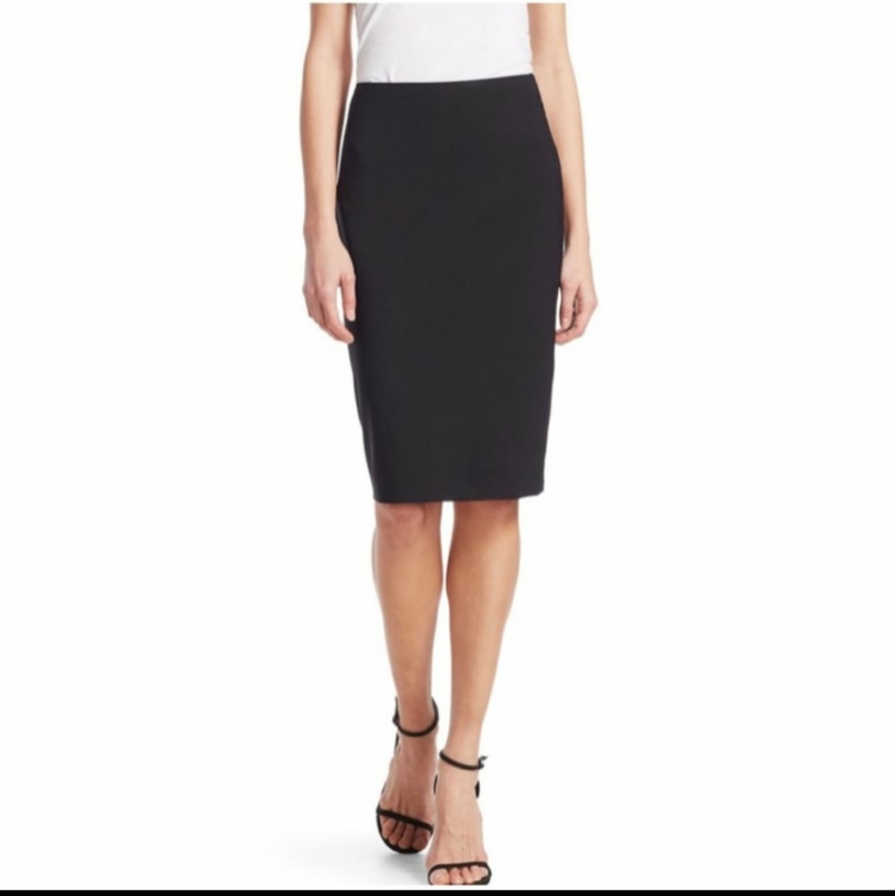 Theory hemdall skirt
